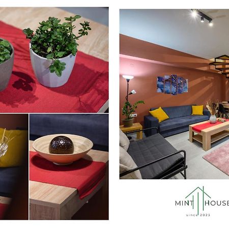 Mint House Apartment Ioannina Exterior foto